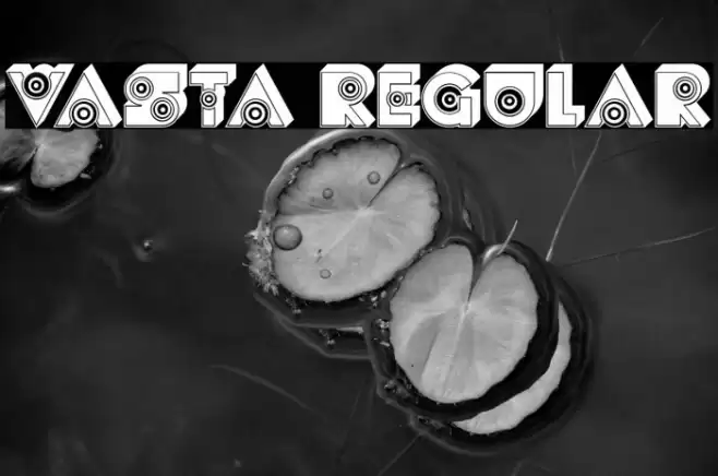 Vasta Regular Font examples