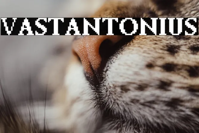 Vastantonius Example 3