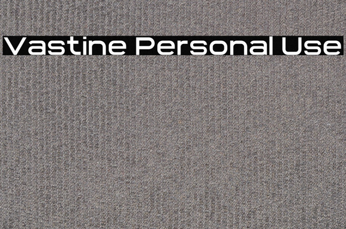 Vastine Personal Use Example 1