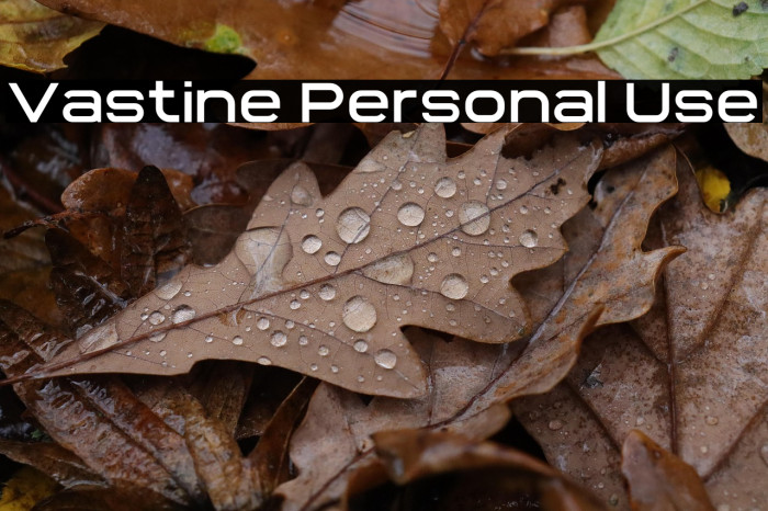 Vastine Personal Use Example 2