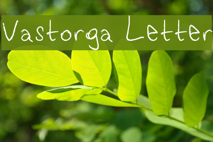 Vastorga Letter Font examples