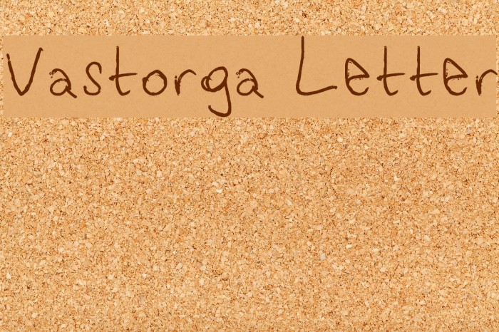 Vastorga Letter Font examples