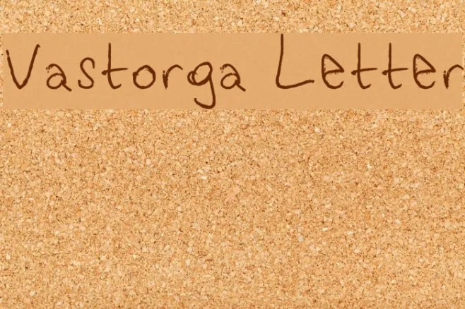 Vastorga Letter Example 2