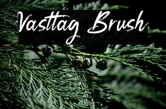 Vasttag Brush Example 2
