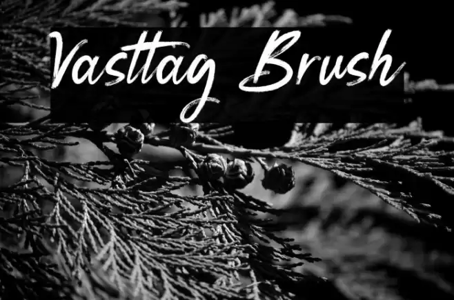 Vasttag Brush Font examples