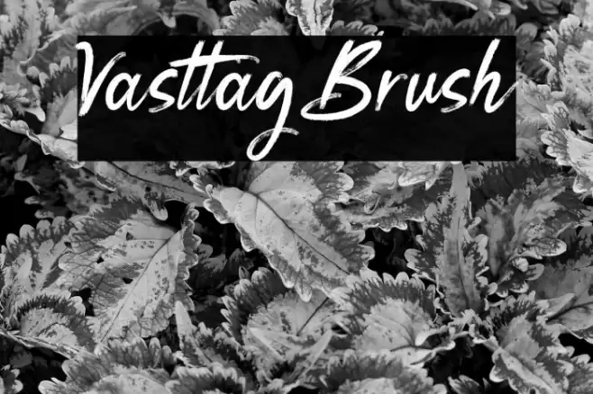 VasttagBrush Font examples