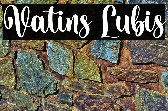 Vatins Lubis Example 1