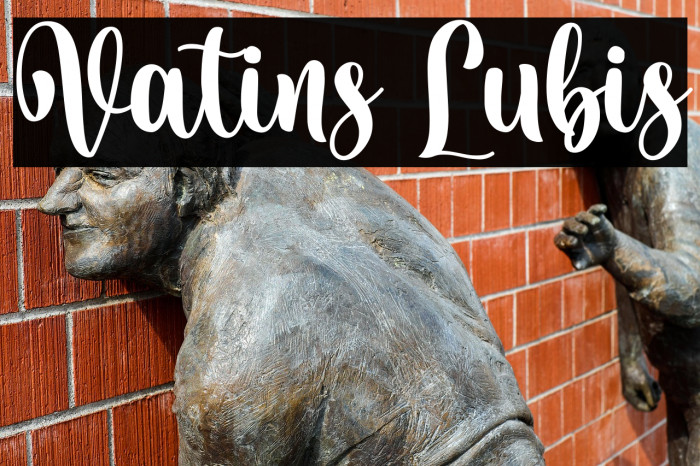 Vatins Lubis Example 2