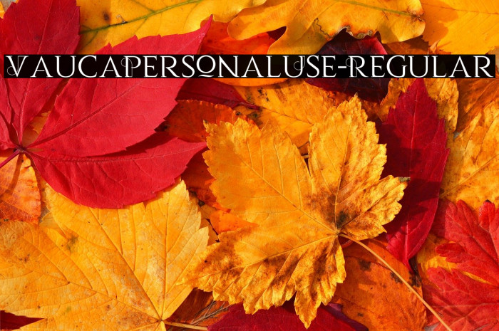 VaucaPersonalUse-Regular Example 3