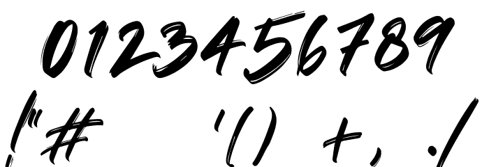 Vaughan Handstylish Font Font OTHER CHARS