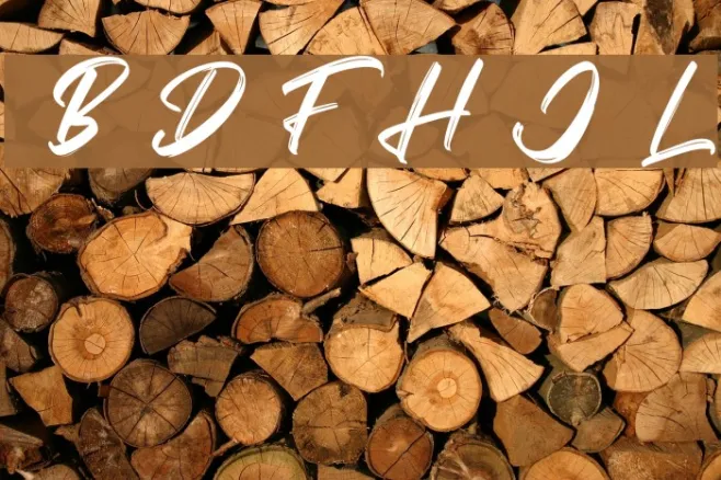 Vaughan Handstylish Font Example 1