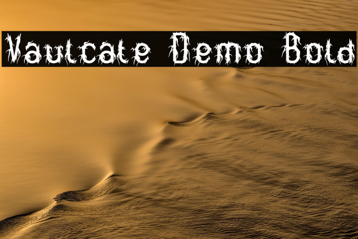 Vaulcate Demo Bold Example 1