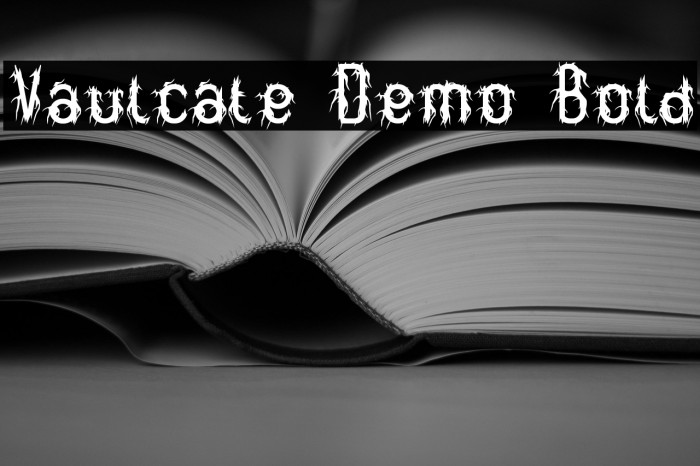 Vaulcate Demo Bold Example 2