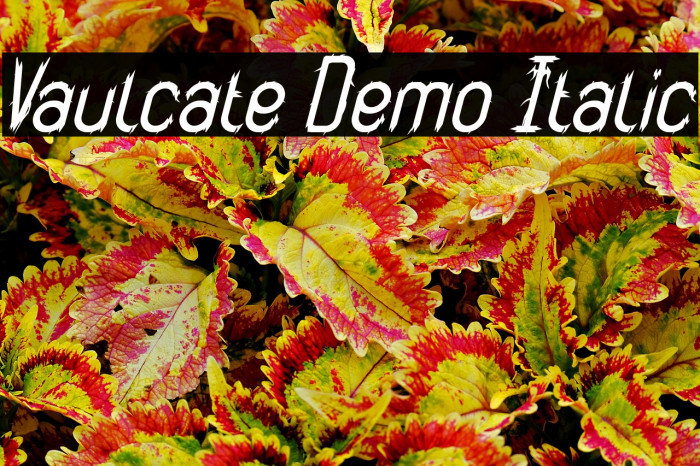 Vaulcate Demo Italic Example 1