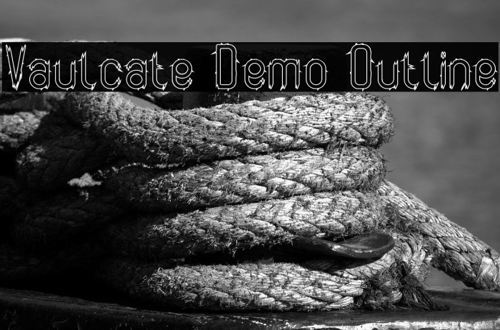 Vaulcate Demo Outline Example 2