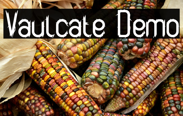 Vaulcate Demo Example 2
