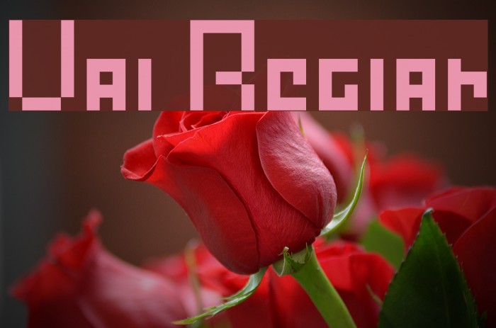 Vault Regular Font examples