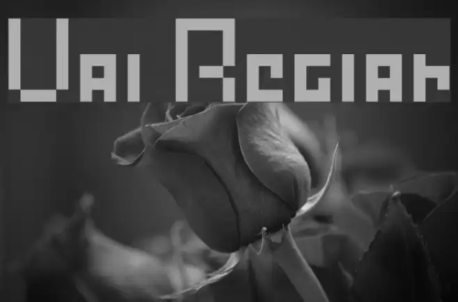Vault Regular Font examples
