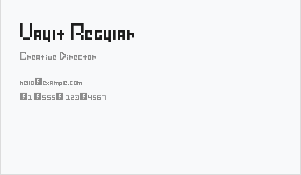 Vault Regular Business Card