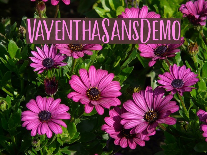 VayenthaSansDemo Example 1