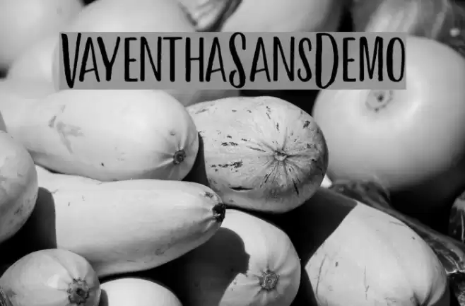 VayenthaSansDemo Font examples