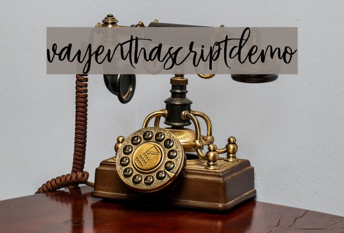 VayenthaScriptDemo Example 1