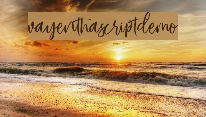 VayenthaScriptDemo Example 2