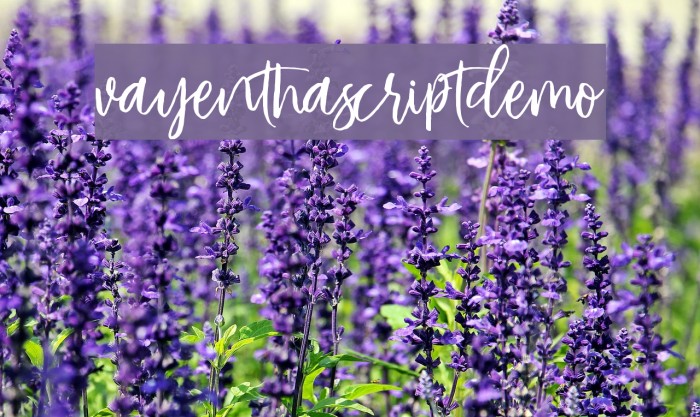 VayenthaScriptDemo Example 3