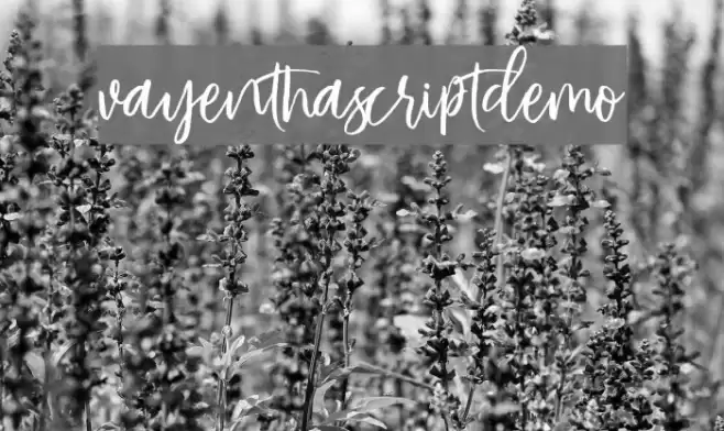 VayenthaScriptDemo Font examples