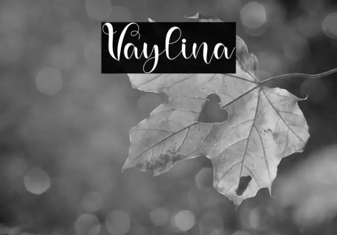 Vaylina Font examples