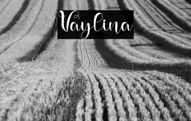 Vaylina Font examples