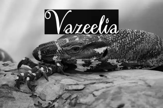 Vazeelia Font examples