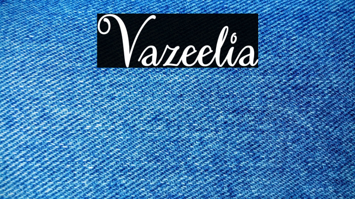 Vazeelia Example 3