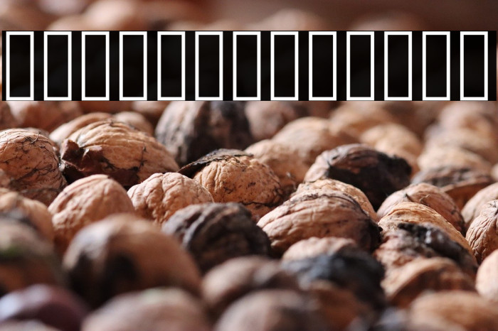 Vazir Black WOL Example 2