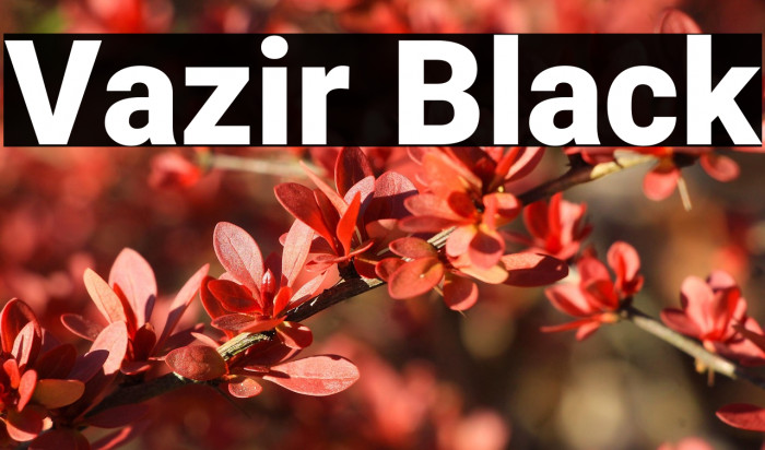Vazir Black Example 2