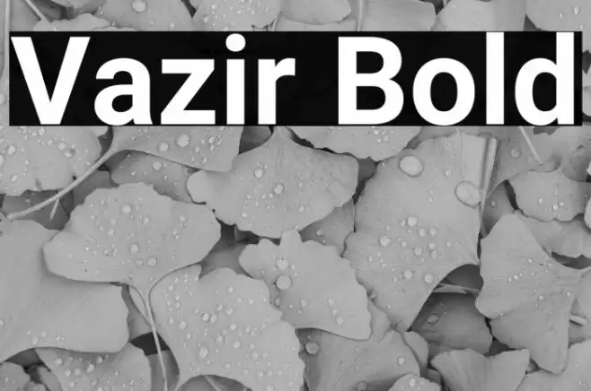 Vazir Bold Font examples