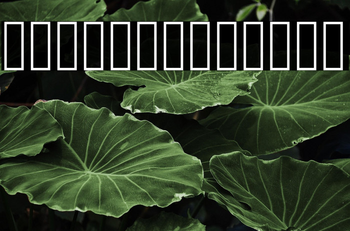 Vazir FD-WOL Example 2