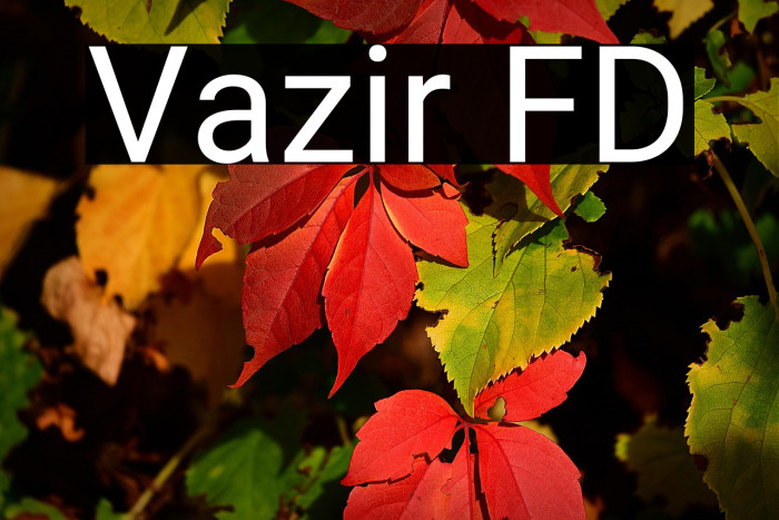 Vazir FD Example 1