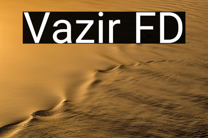 Vazir FD Example 3