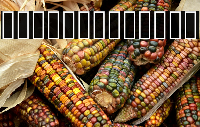 Vazir Light FD-WOL Example 2