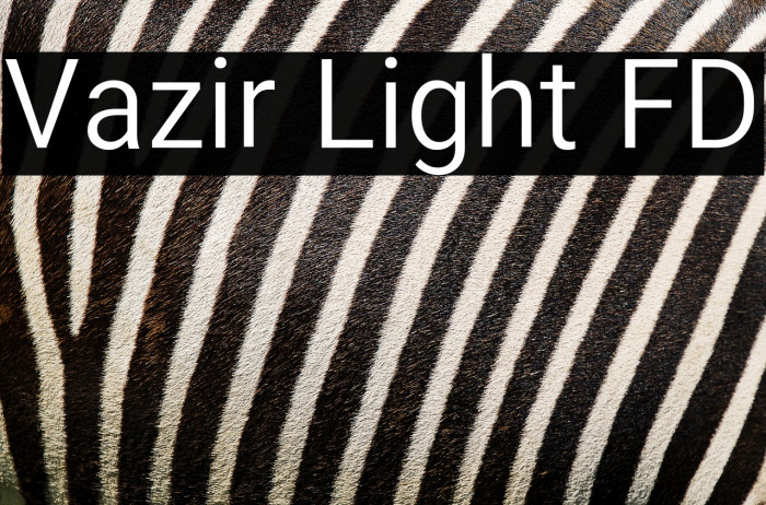 Vazir Light FD Example 1