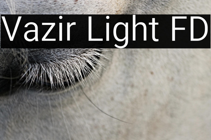 Vazir Light FD Example 3