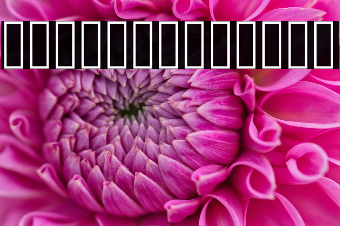 Vazir Light WOL Example 3