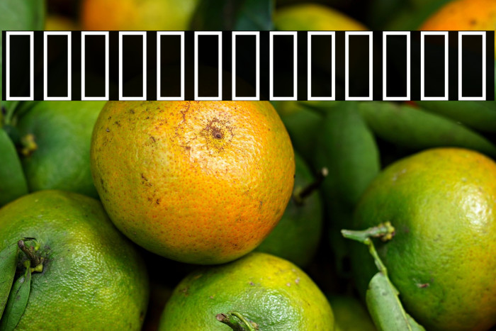 Vazir Medium WOL Example 1