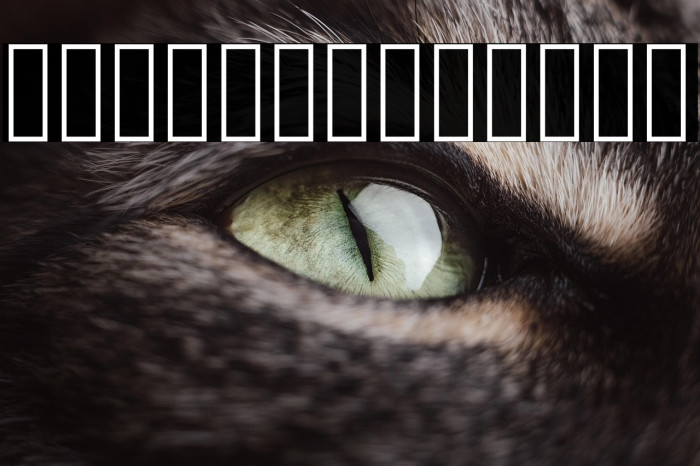 Vazir Medium WOL Example 3