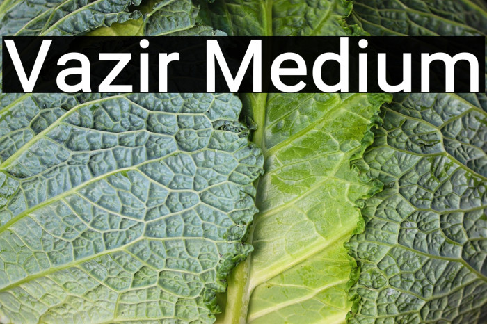 Vazir Medium Example 1