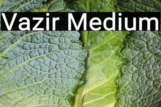 Vazir Medium Example 1