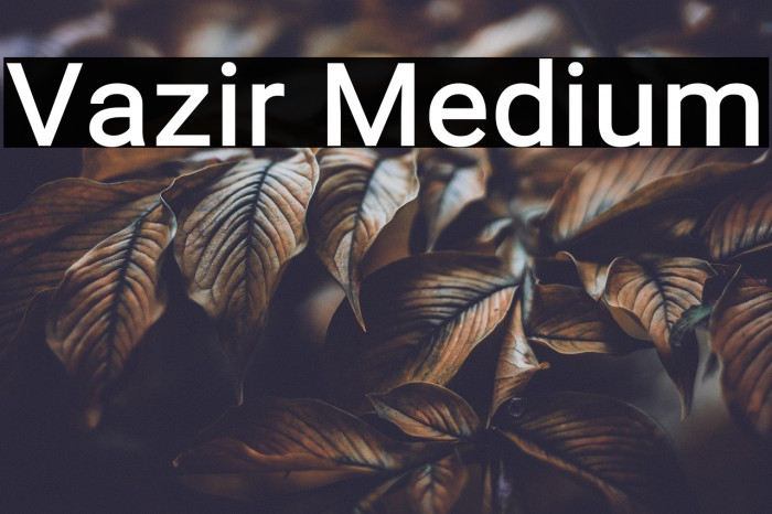 Vazir Medium Example 2