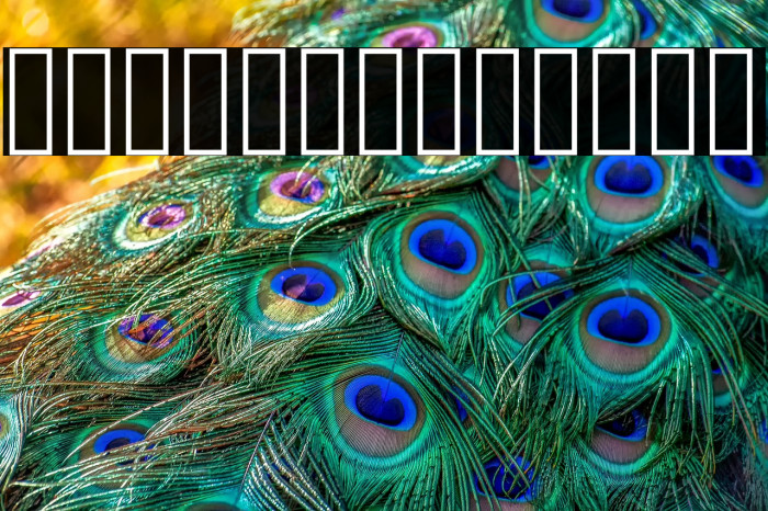 Vazir Thin FD-WOL Example 2