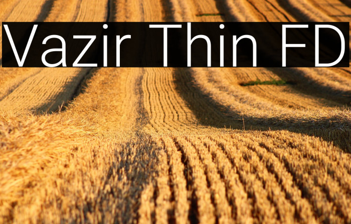 Vazir Thin FD Example 2